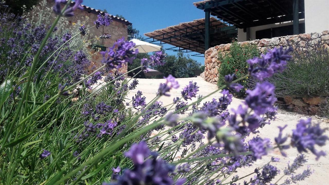 Lavender Hill Hvar Villa - Pool, Jacuzzi,Sauna,Bbq 스타리 그라드 외부 사진